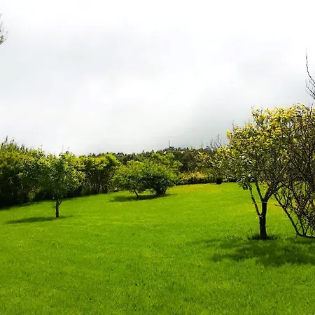 Quintinha Achadas Ferienhaus Achadas da Cruz